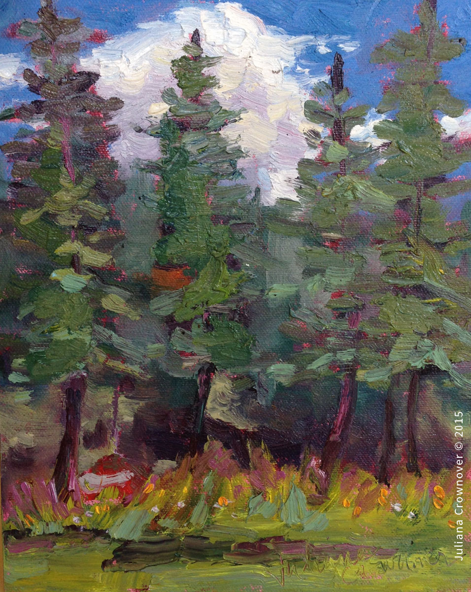 painting solitude tent camping old growth forest Juliana Crownover