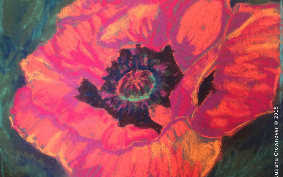 Beautiful Poppy