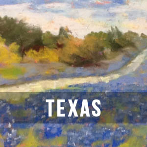 Texas Bluebonnets