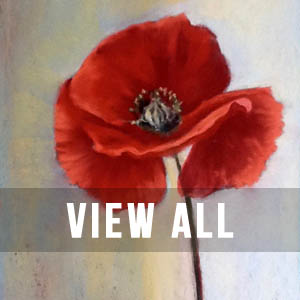red poppy