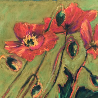 Dancing Poppies