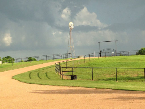 Plein Air Oil Workshop (New Ulm) (April16-18, 2024) - Image 10