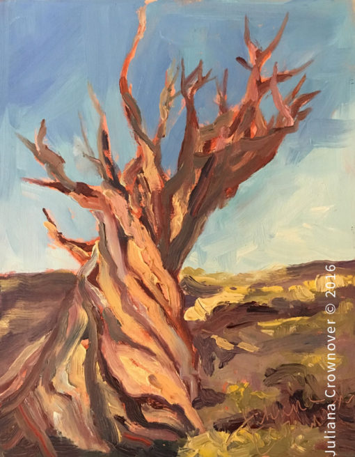 bristlecone-pine-blue-sky-tree death valley artist Juliana Crownover