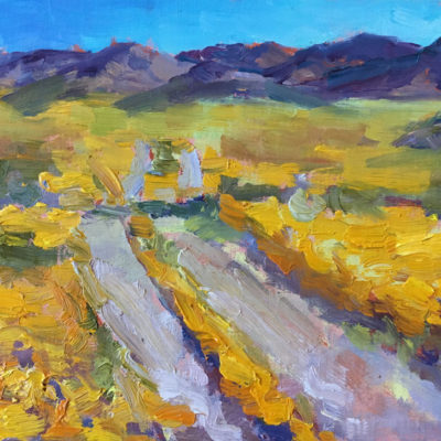 double-track-through-superbloom death valley califonia