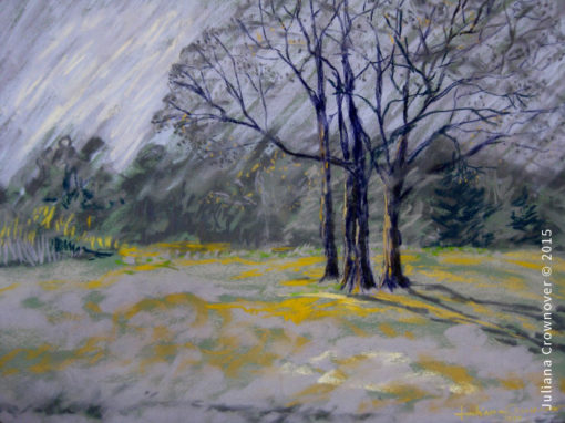 Dallas TX plein air pastel art workshop with artist Juliana Crownover