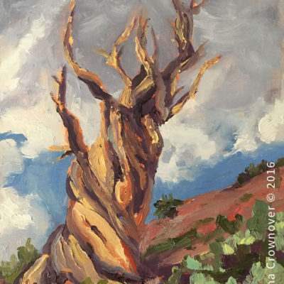 Bristlecone Afternoon Clouds