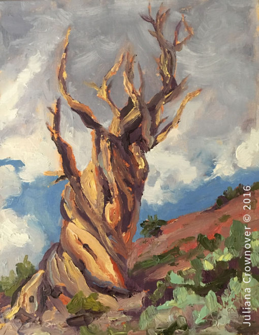 Bristlecone Afternoon Clouds