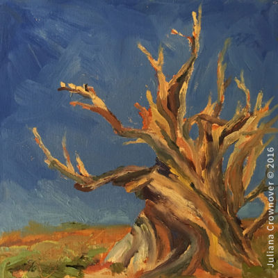 Bristlecone High Noon