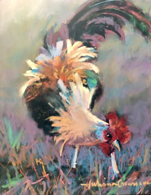 Rooster Rainbow
