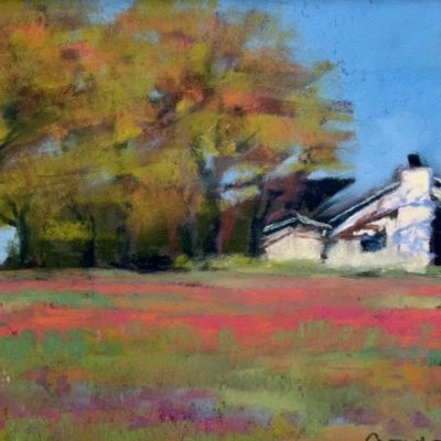 Country Home