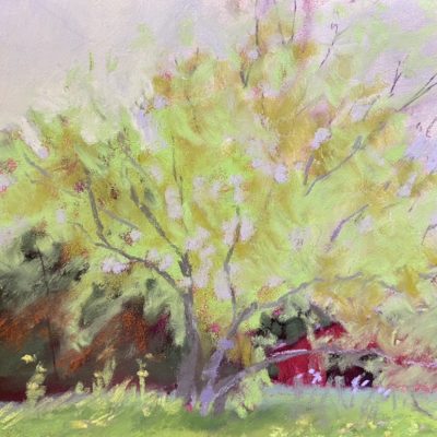 Red Barn, Green Tree