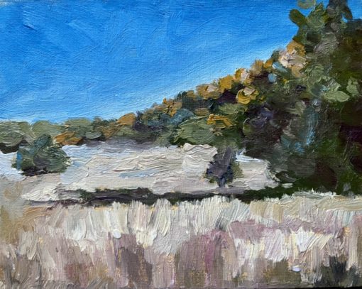 Hill Country State Natural Area