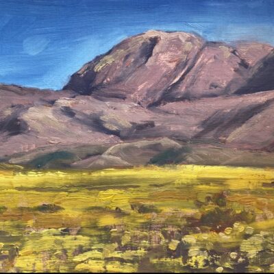 Superbloom - Death Valley