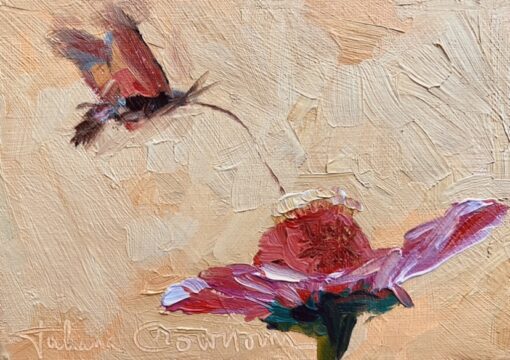 Moth and Echinacea Daisy