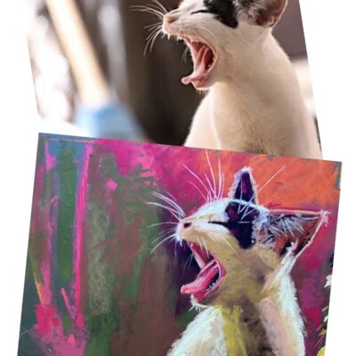 Pet Portrait