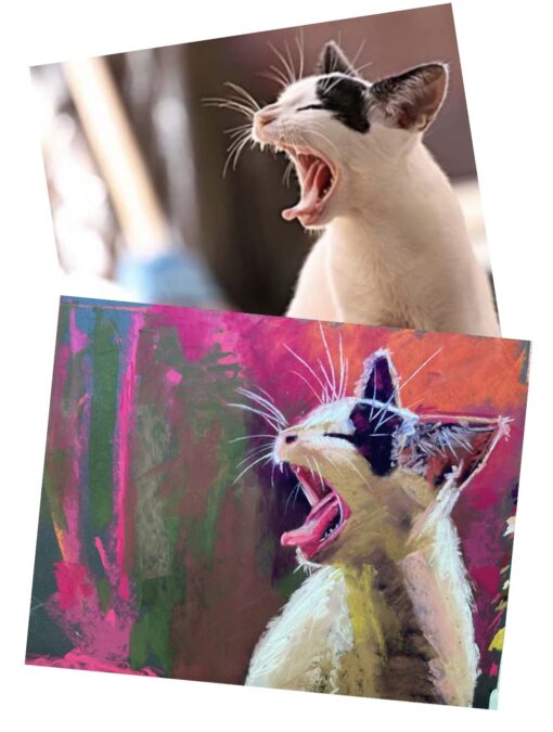 Pet Portrait