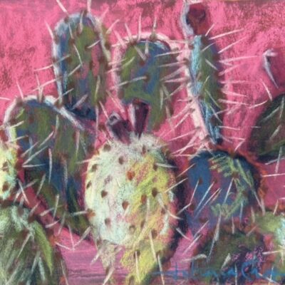 Prickly Pink