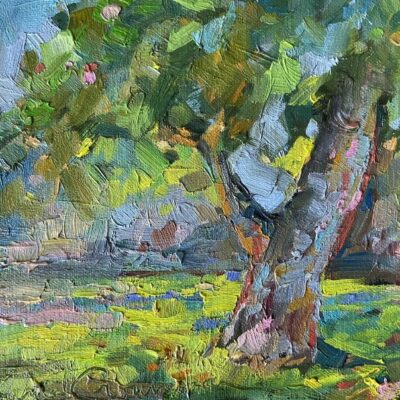 Oak - Dappled Light
