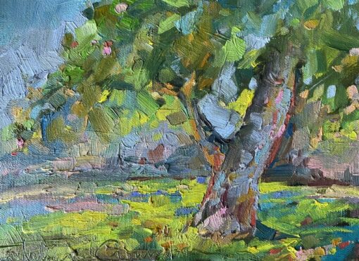 Oak - Dappled Light