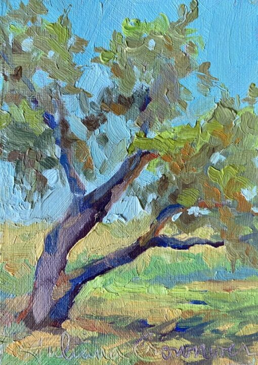 Texas Live Oak