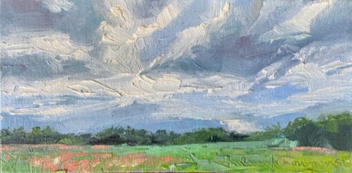 March 25th Sol Rising "Indian Paint, Majestic Clouds"